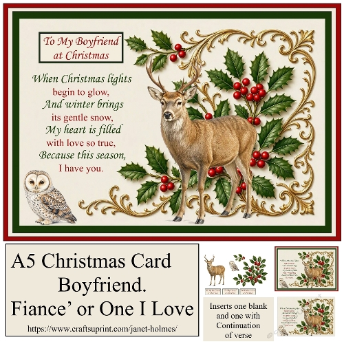 A5 Christmas Card BOYFRIEND, FIANCE or ONE I LOVE