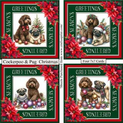Cockerpoo & Pug Christmas 2026