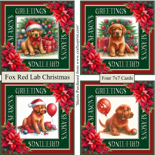 Fox Red Labrador Christmas 2026