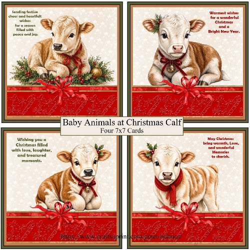 Baby Animals at Christmas Calf