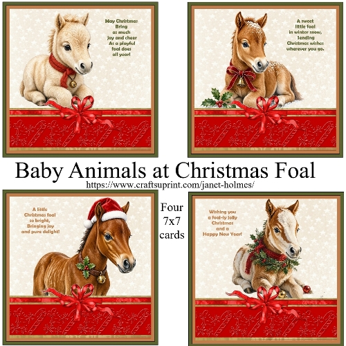 Baby Animals at Christmas Foal