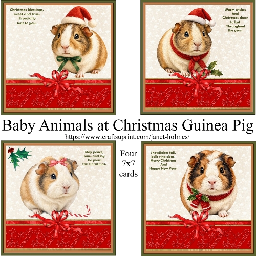 Baby Animals at Christmas Guinea Pig