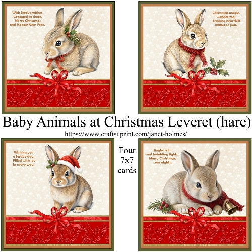Baby Animals at Christmas Hare