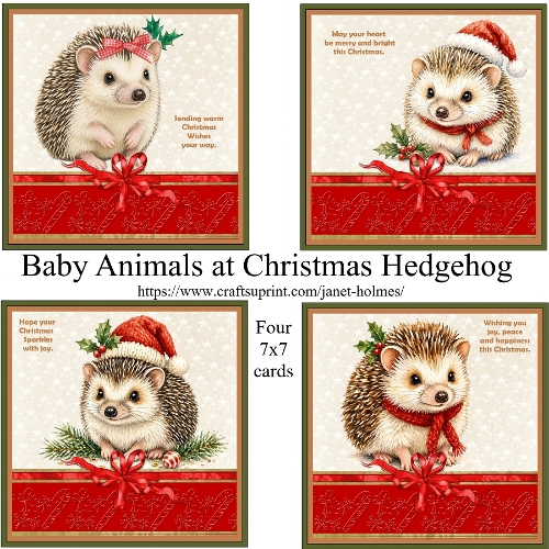 Baby Animals at Christmas Hedgehog