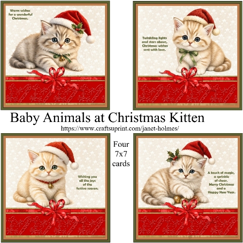 Baby Animals at Christmas Kitten