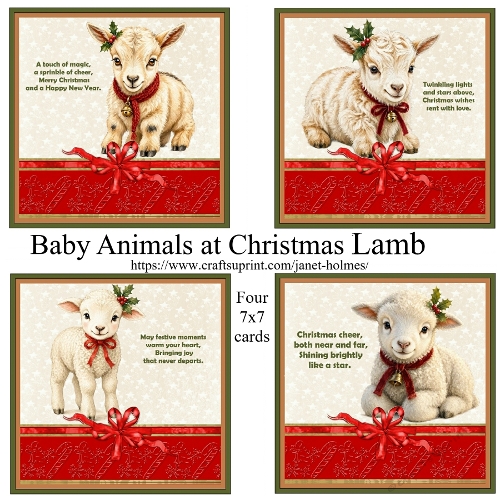 Baby Animals at Christmas Lamb