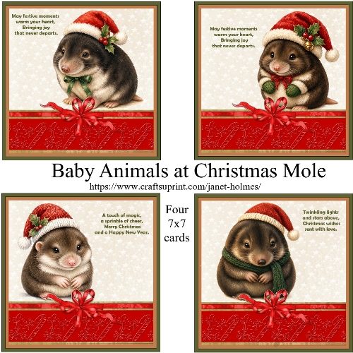 Baby Animals at Christmas Mole