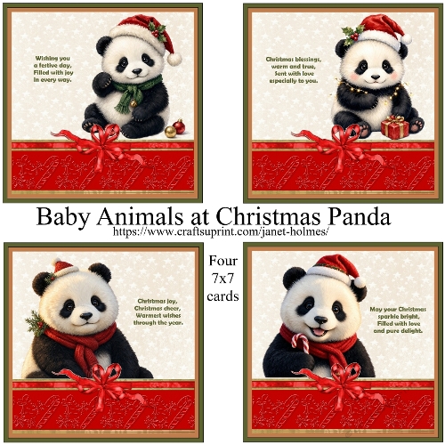 Baby Animals at Christmas Panda