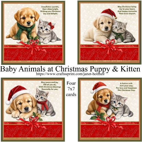 Baby Animals at Christmas Puppy & Kitten