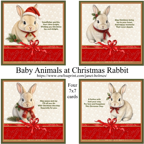 Baby Animals at Christmas Rabbit