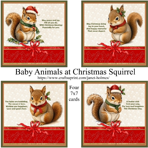 Baby Animals at Christmas Squirrel