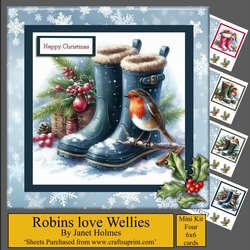 Robins love Wellies