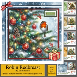 Robin Redbreast