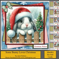 Some Bunny Loves You
