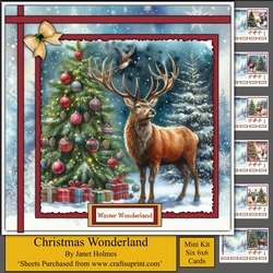 cup1350142_91280 - Christmas Wonderland