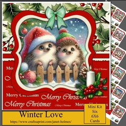 Winter Love