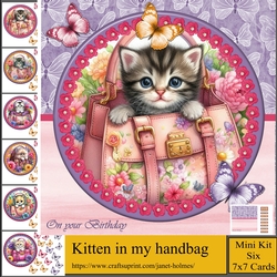 Kitten in my handbag