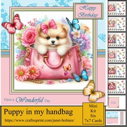 Puppy in my handbag