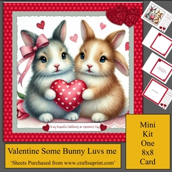Valentine Some Bunny Luvs Me
