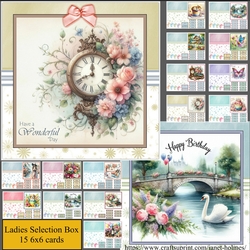 Selection box female Bumper kit of 15 cards 