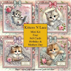 Kittens n Lace