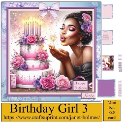Birthday girl 3
