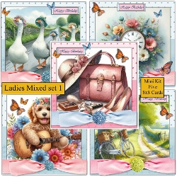 Ladies mixed set 1