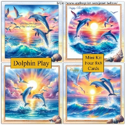 Dolphin play