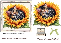 Sunflower Kitten,  Mothers day and Birthday