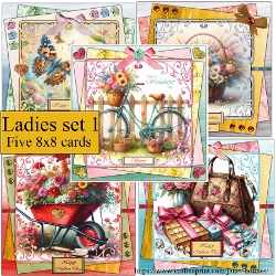 Ladies card kit