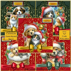 Christmas assortment 2 new for 2025