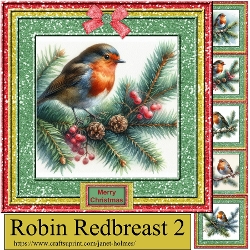 Robin Redbreast set 2