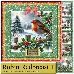 Robin Redbreast set 1