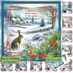 British Wildlife at Christmas
