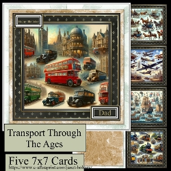 Transport Through The Ages