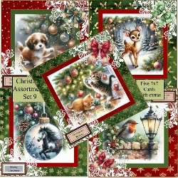 Christmas Assortment set 9