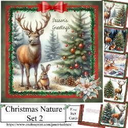 Christmas nature set 2