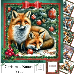 Christmas Nature set 3