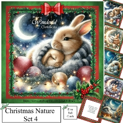 Christmas Nature set 4
