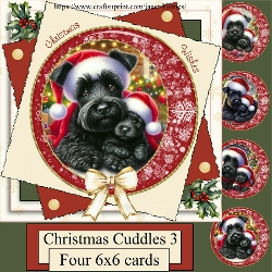 6x6 Christmas cuddles 3