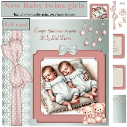 New Baby twin girls