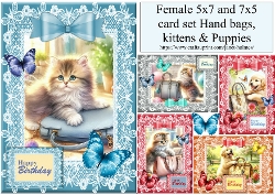 female 5x7 & 7x5 birthday set handbags, kittens and puppies