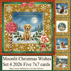 Moonlit Christmas Wishes set 4 2026