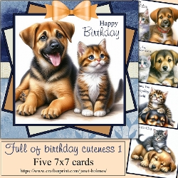 Full of Birthday cuteness 1 2026