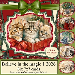 Believe in the magic set 1 2026