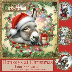 Donkeys at Christmas