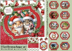 12 Card Christmas Bumper kit 1 2026