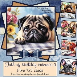 Full of Birthday Cuteness 3 2026