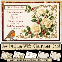 A4 My Darling Wife christmas card
