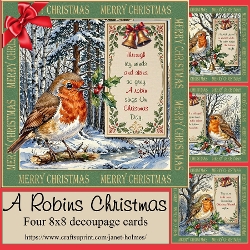 A Robins Christmas